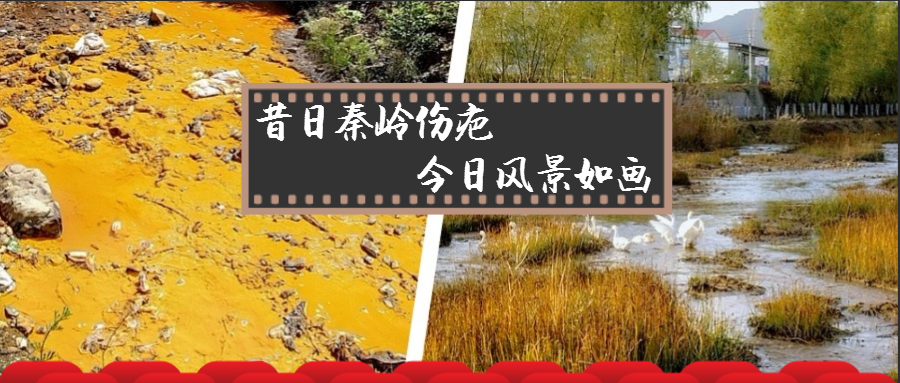 旧日秦岭伤疤 今日景致如画——陕西J9集团集团黄龙河道域传染治理侧记