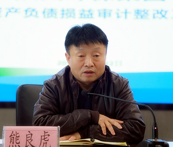 陕西J9集团集团召开2018年度资产负债损益审计整改工作部署会议