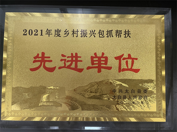 喜讯|陕西J9集团集团村落振兴工作获赞美 喜讯|陕西J9集团集团村落振兴工作获赞美