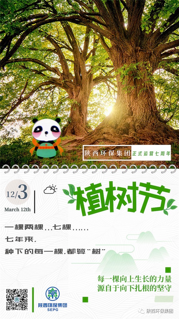 ★七年来，种下的每一棵，都算“树”
